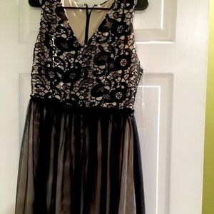 Black knee length dress with tan lining NWT